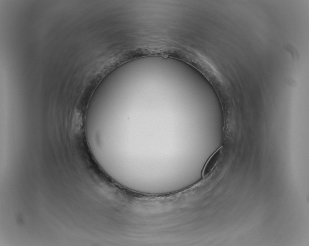 X0000110880025200906180954