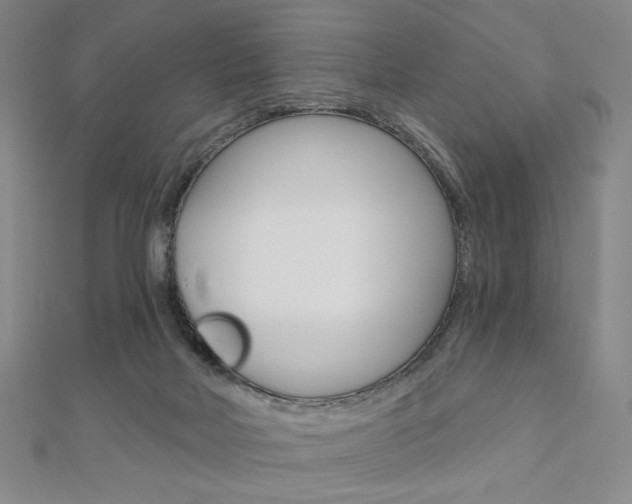 X0000110880026200906180954