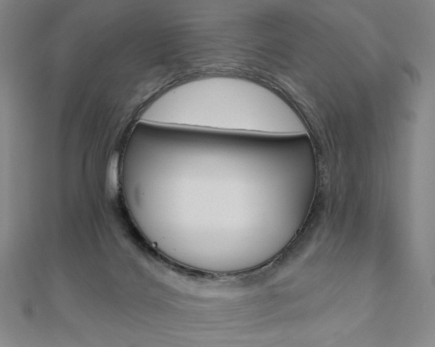 X0000110880028200906180954