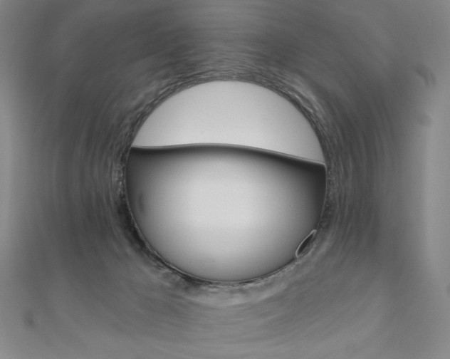 X0000110880029200906180954