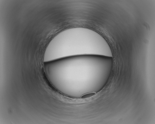 X0000110880031200906180954