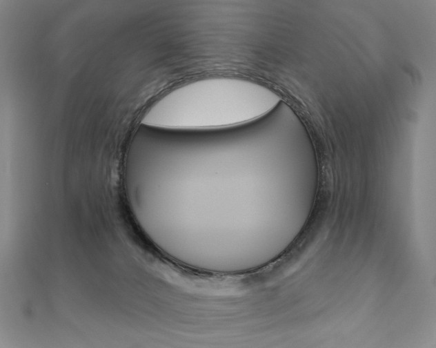 X0000110880032200906180954