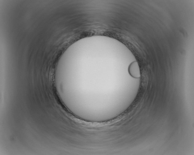 X0000110880034200906180954