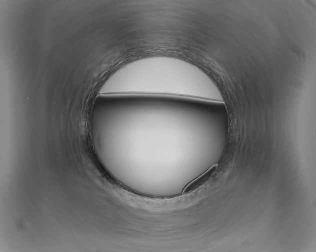X0000110880039200906180954