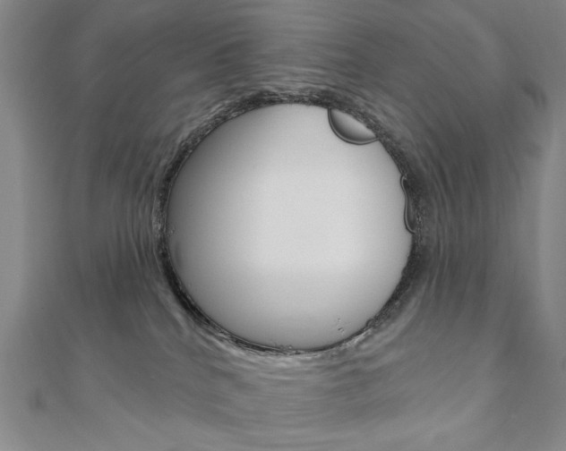 X0000110880040200906180954