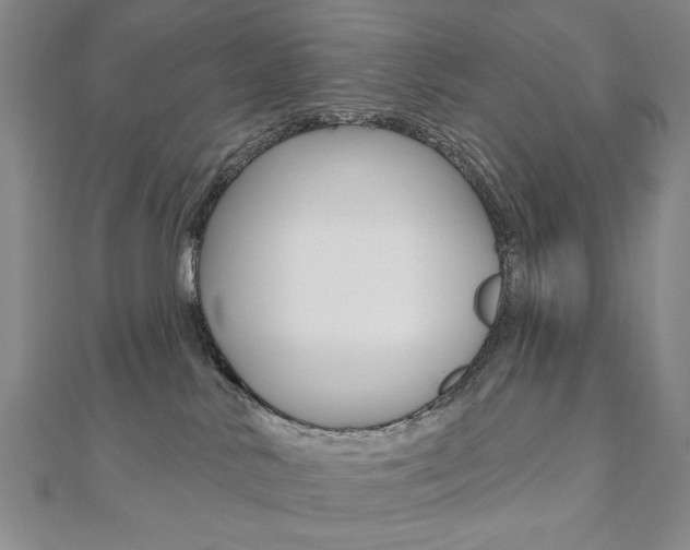 X0000110880042200906180954