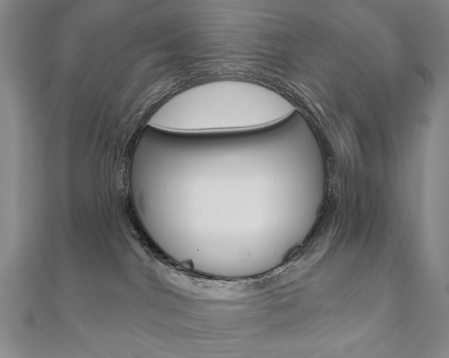 X0000110880044200906180954
