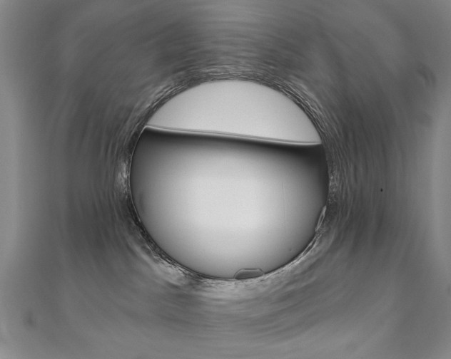 X0000110880045200906180954