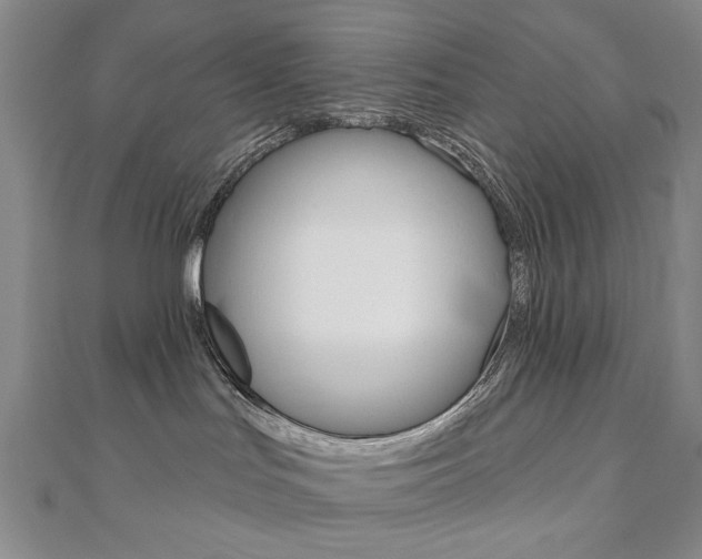 X0000110880047200906180954