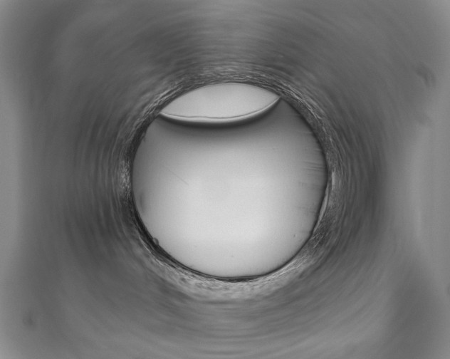 X0000110880048200906180954