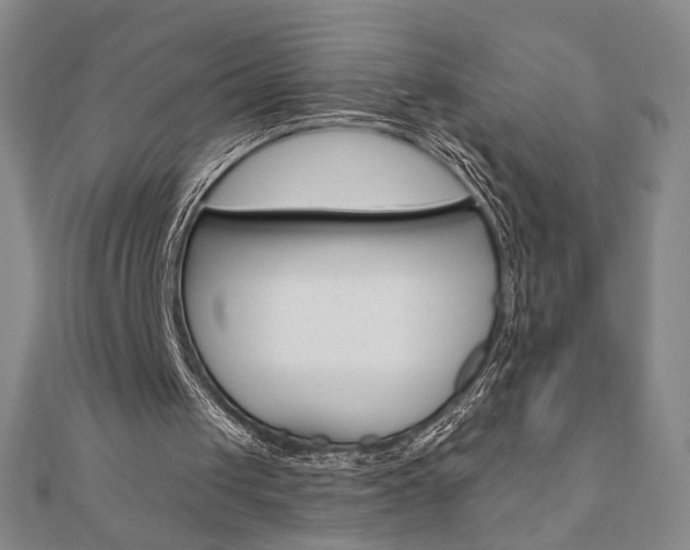 X0000110880049200906180953