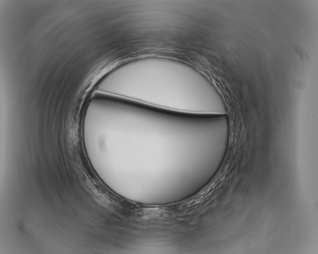 X0000110880050200906180953