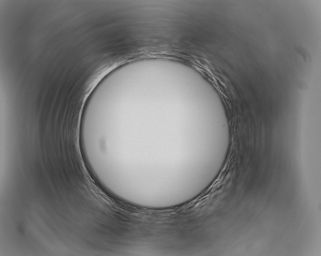 X0000110880052200906180953