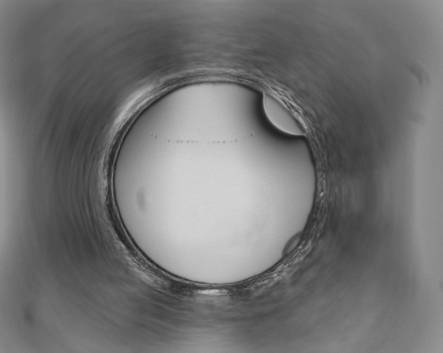X0000110880053200906180953