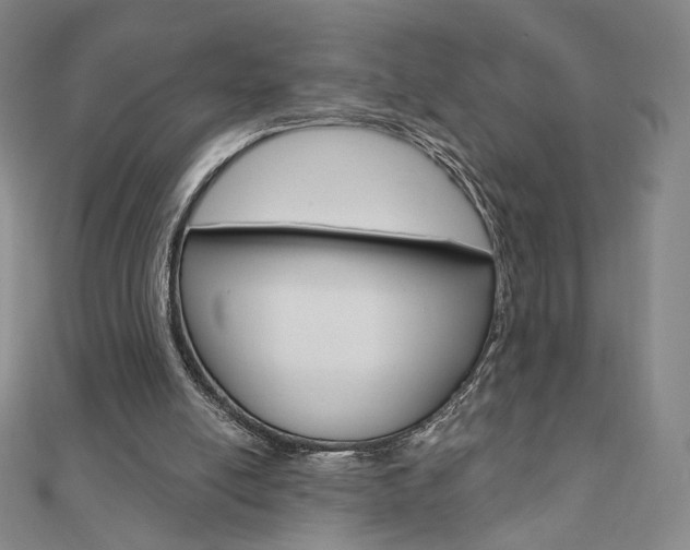 X0000110880054200906180953