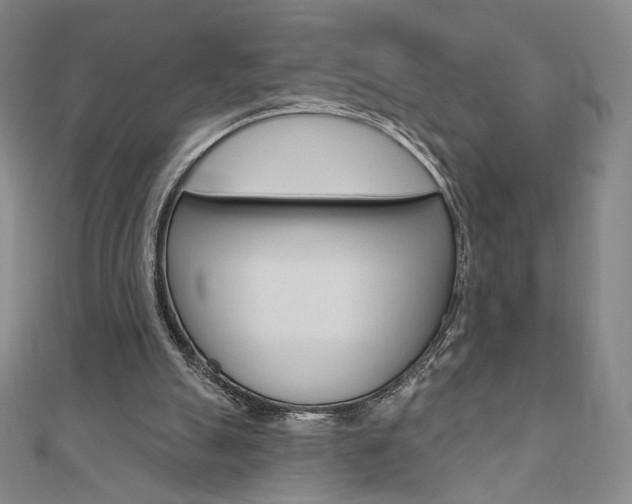 X0000110880055200906180953