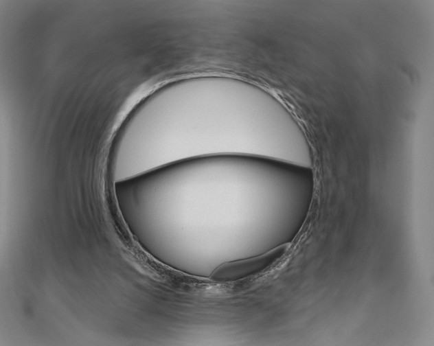 X0000110880056200906180953