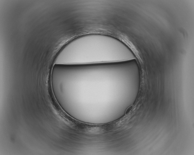 X0000110880058200906180953