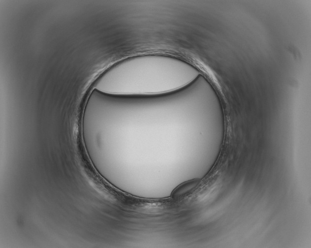 X0000110880059200906180953