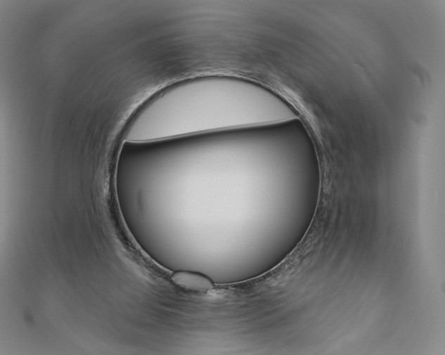 X0000110880060200906180953