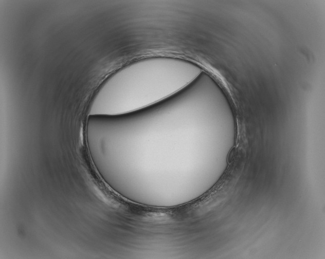X0000110880061200906180953