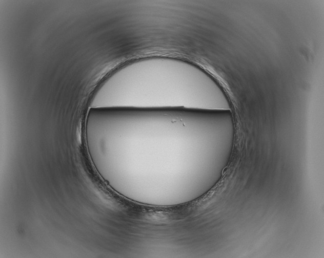 X0000110880062200906180953