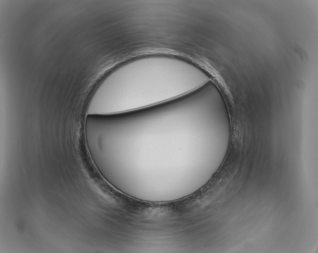 X0000110880063200906180953
