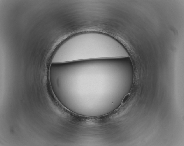 X0000110880064200906180953