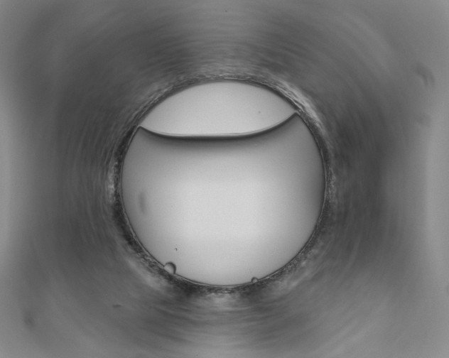 X0000110880065200906180953