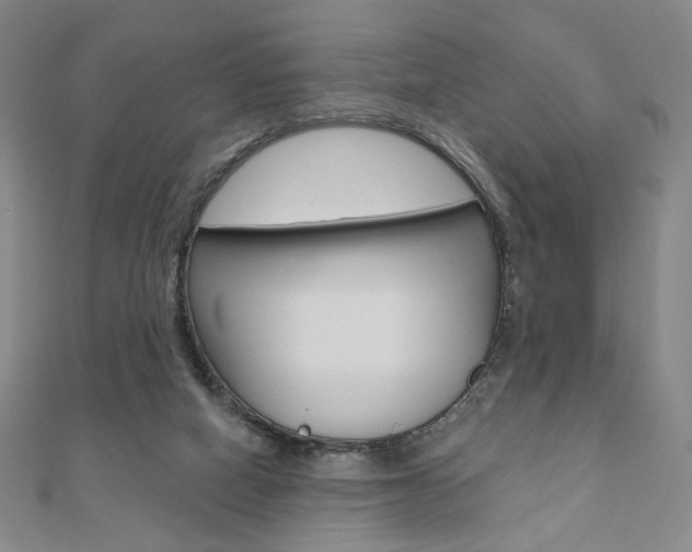 X0000110880066200906180953