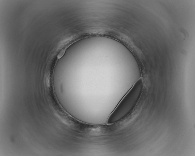 X0000110880068200906180953