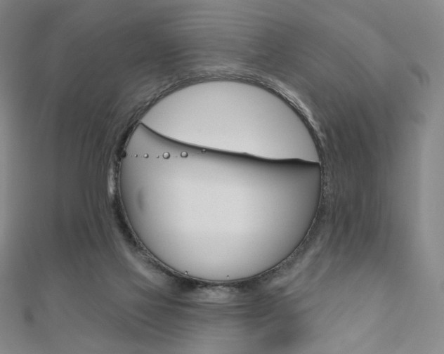 X0000110880069200906180953