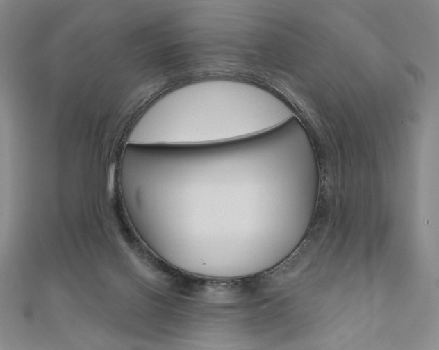 X0000110880070200906180953