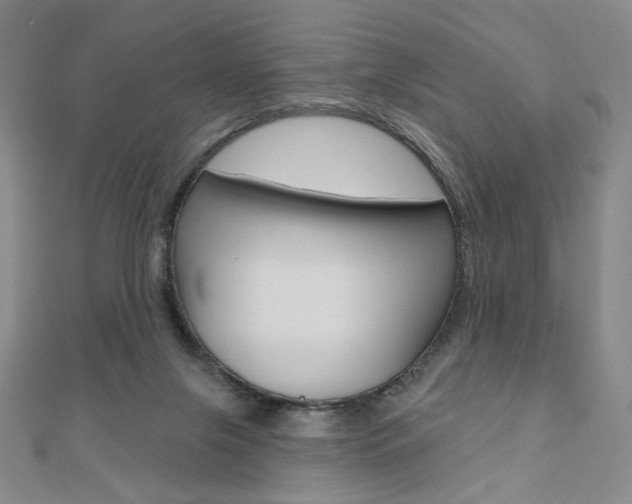X0000110880071200906180953