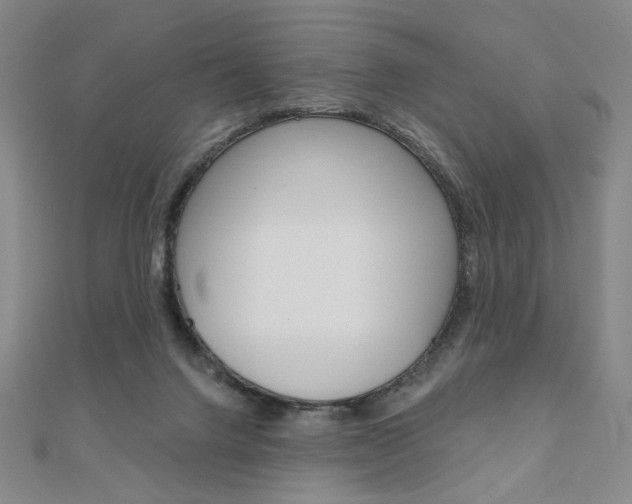 X0000110880072200906180953
