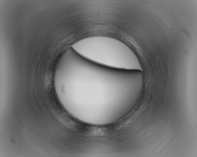 X0000110880073200906180953