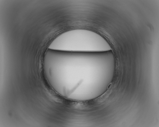 X0000110880074200906180954