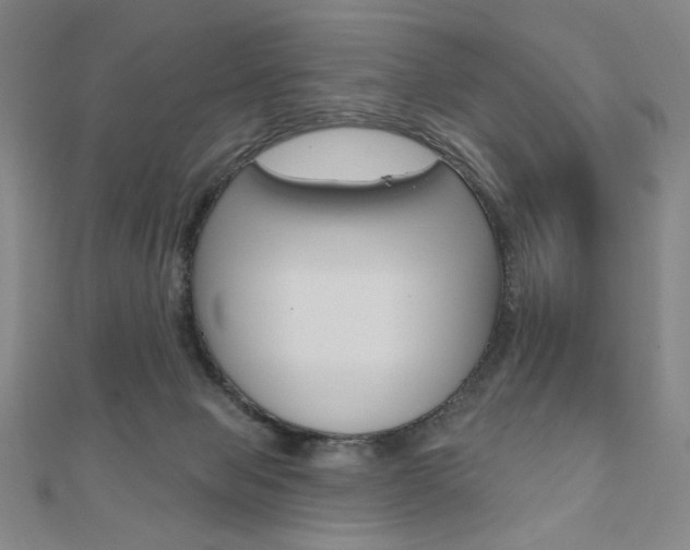 X0000110880077200906180954