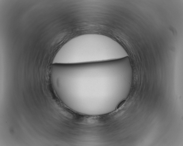 X0000110880078200906180954