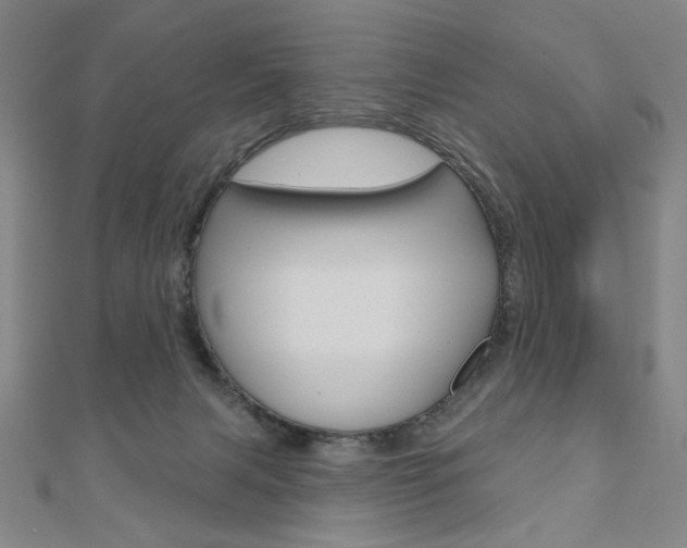 X0000110880079200906180954