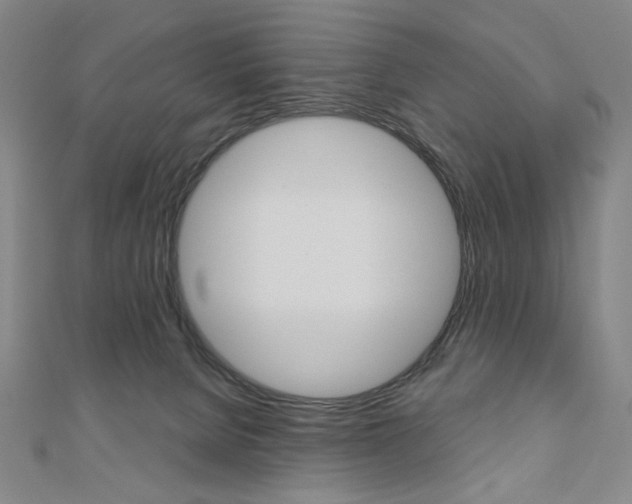 X0000110880080200906180954