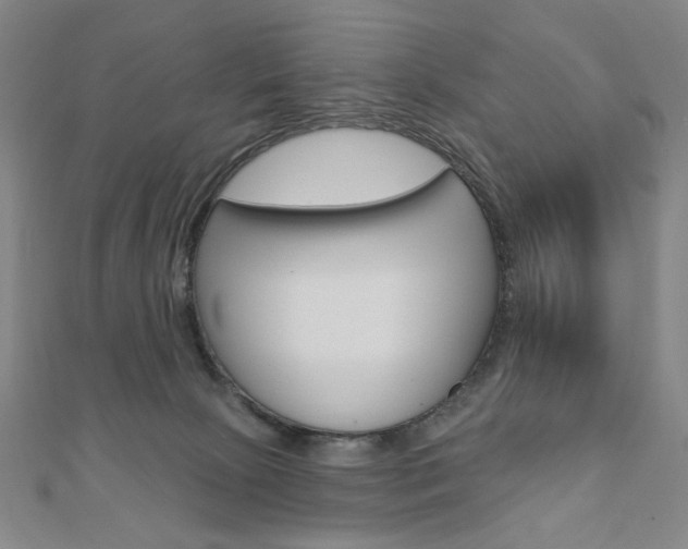 X0000110880081200906180954