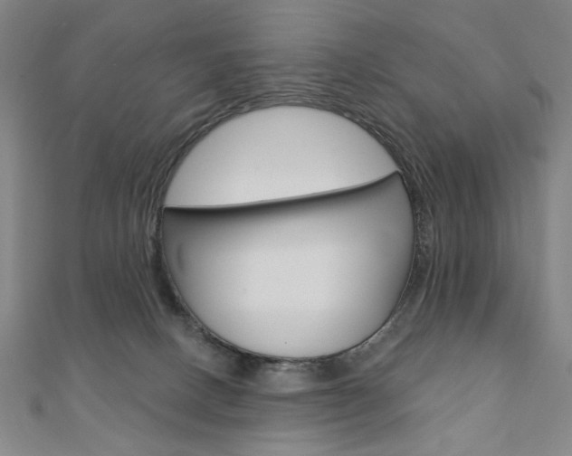 X0000110880082200906180954