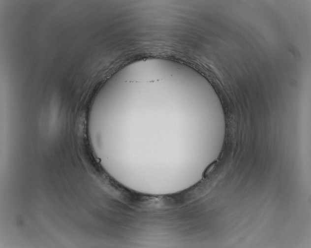 X0000110880083200906180954