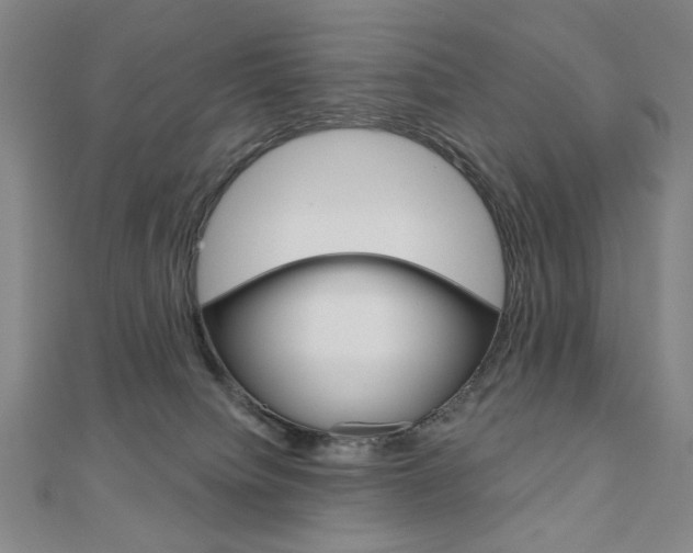 X0000110880084200906180954