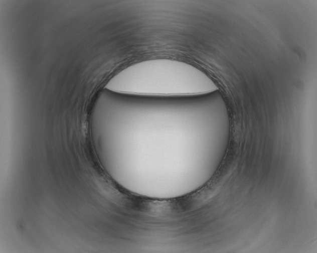 X0000110880085200906180954