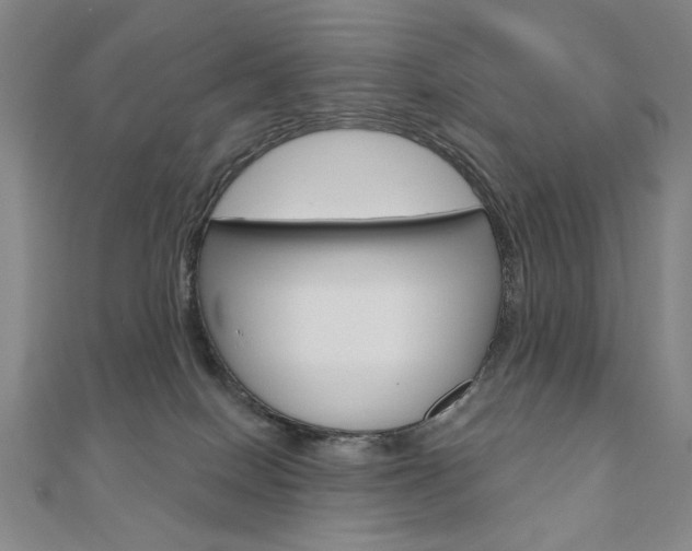 X0000110880086200906180954