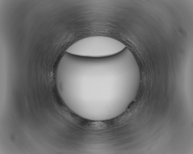 X0000110880087200906180954