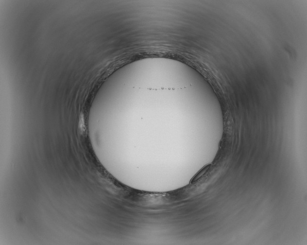 X0000110880089200906180954
