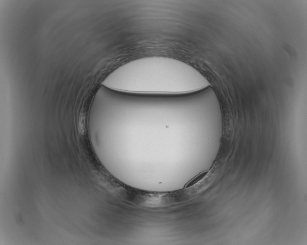 X0000110880090200906180954